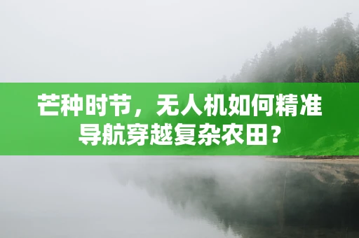 芒种时节，无人机如何精准导航穿越复杂农田？