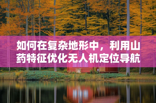 如何在复杂地形中，利用山药特征优化无人机定位导航？