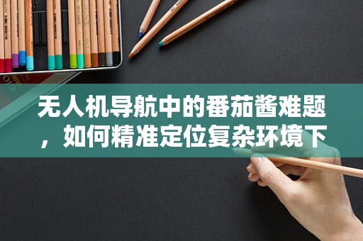 无人机导航中的番茄酱难题，如何精准定位复杂环境下的飞行路径？