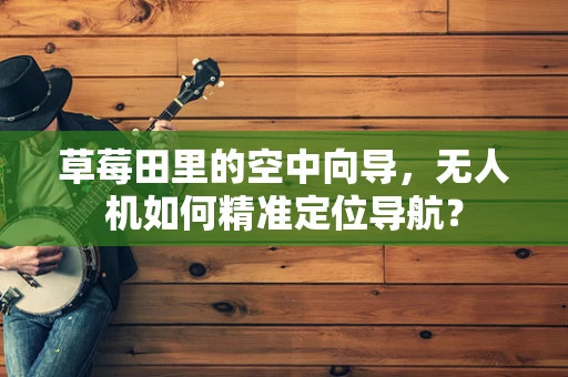 草莓田里的空中向导，无人机如何精准定位导航？
