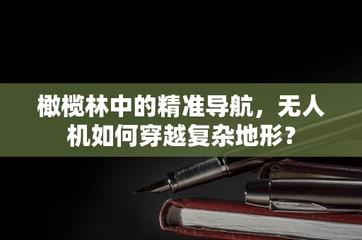 橄榄林中的精准导航，无人机如何穿越复杂地形？