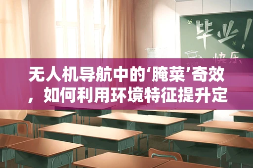 无人机导航中的‘腌菜’奇效，如何利用环境特征提升定位精度？