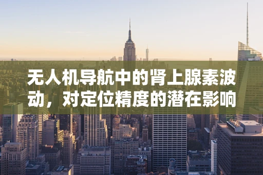 无人机导航中的肾上腺素波动，对定位精度的潜在影响？