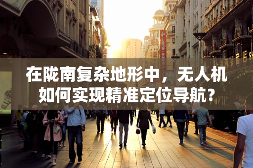 在陇南复杂地形中，无人机如何实现精准定位导航？