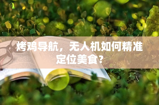 烤鸡导航，无人机如何精准定位美食？