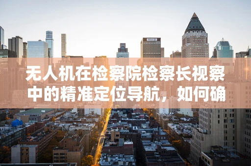 无人机在检察院检察长视察中的精准定位导航，如何确保法律执行的无误？