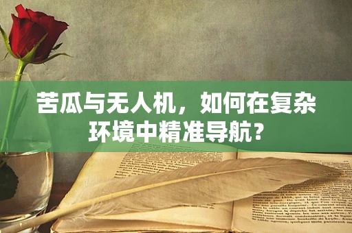 苦瓜与无人机，如何在复杂环境中精准导航？