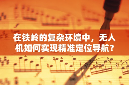 在铁岭的复杂环境中，无人机如何实现精准定位导航？