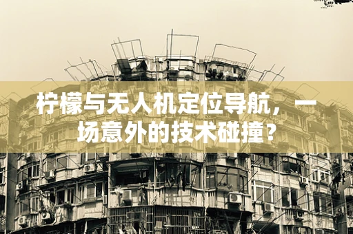 柠檬与无人机定位导航，一场意外的技术碰撞？
