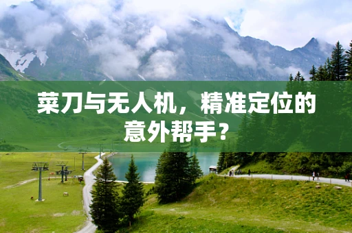 菜刀与无人机，精准定位的意外帮手？