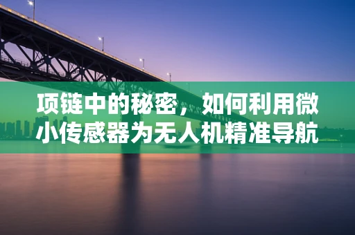项链中的秘密，如何利用微小传感器为无人机精准导航？