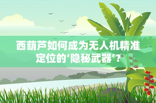 西葫芦如何成为无人机精准定位的‘隐秘武器’？