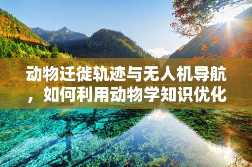 动物迁徙轨迹与无人机导航，如何利用动物学知识优化无人机定位？