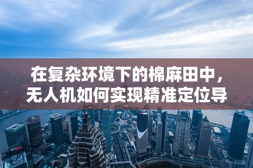 在复杂环境下的棉麻田中，无人机如何实现精准定位导航？