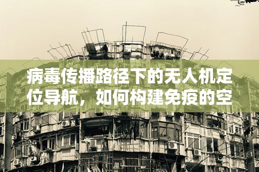 病毒传播路径下的无人机定位导航，如何构建免疫的空中监控网？