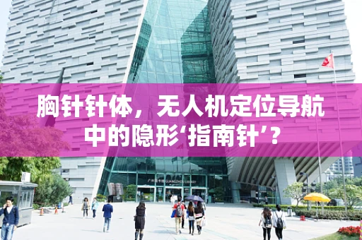 胸针针体，无人机定位导航中的隐形‘指南针’？