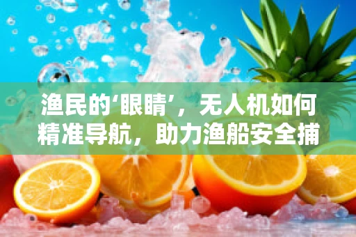 渔民的‘眼睛’，无人机如何精准导航，助力渔船安全捕捞？