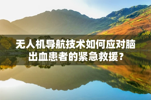 无人机导航技术如何应对脑出血患者的紧急救援？