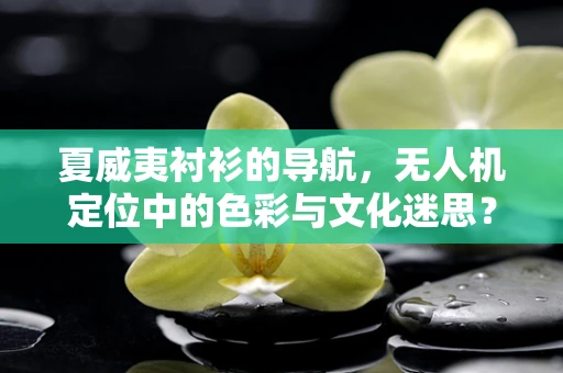 夏威夷衬衫的导航，无人机定位中的色彩与文化迷思？