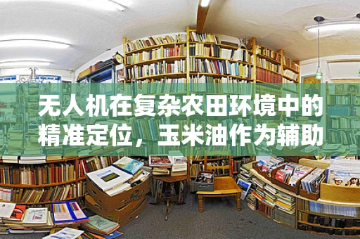 无人机在复杂农田环境中的精准定位，玉米油作为辅助润滑剂的潜力与挑战