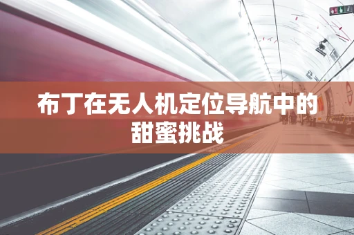 布丁在无人机定位导航中的甜蜜挑战