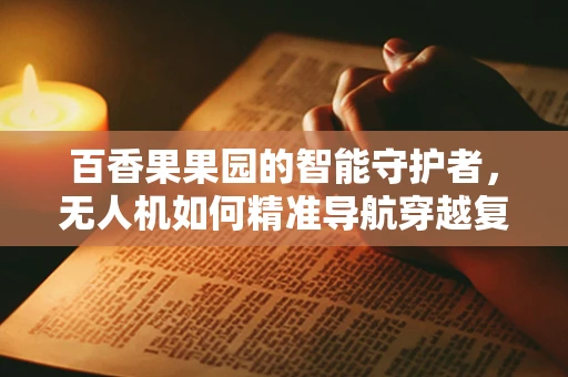 百香果果园的智能守护者，无人机如何精准导航穿越复杂地形？