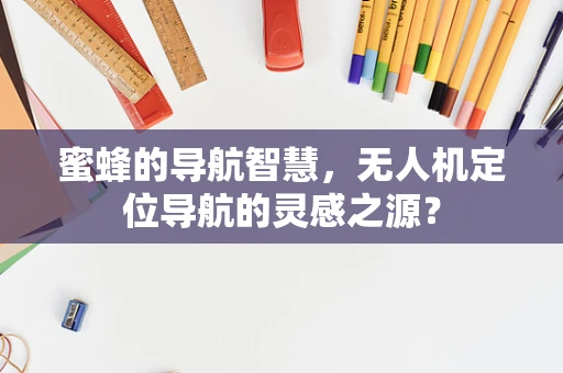 蜜蜂的导航智慧，无人机定位导航的灵感之源？