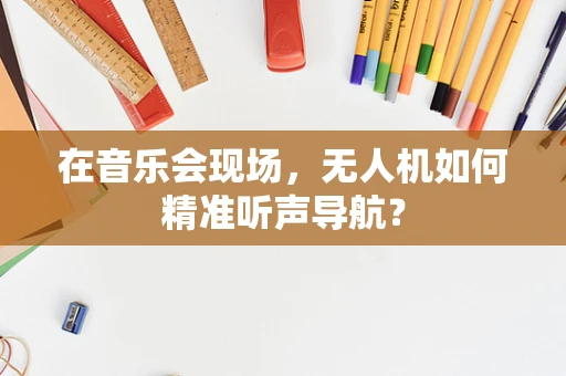 在音乐会现场，无人机如何精准听声导航？