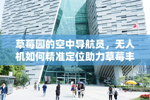 草莓园的空中导航员，无人机如何精准定位助力草莓丰收？