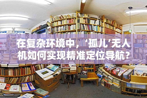 在复杂环境中，‘孤儿’无人机如何实现精准定位导航？