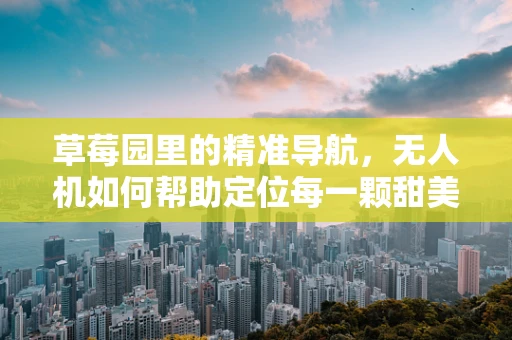 草莓园里的精准导航，无人机如何帮助定位每一颗甜美？