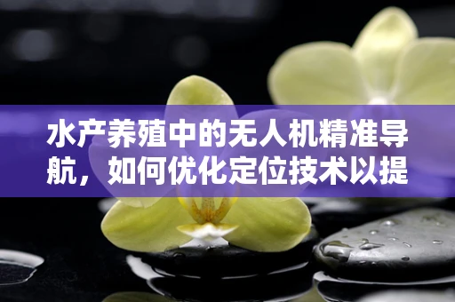 水产养殖中的无人机精准导航，如何优化定位技术以提升监控效率？