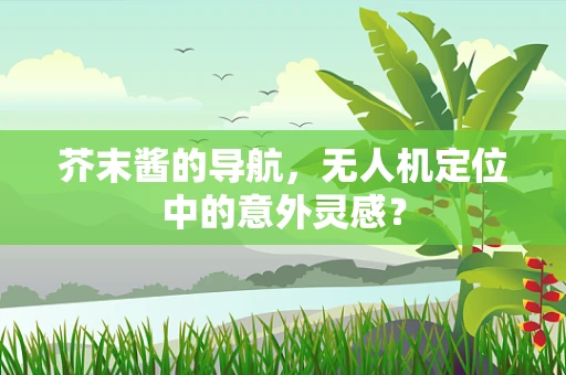 芥末酱的导航，无人机定位中的意外灵感？