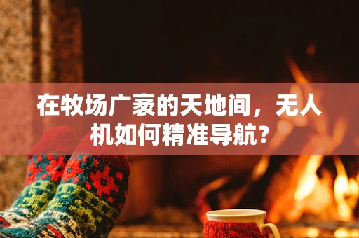 在牧场广袤的天地间，无人机如何精准导航？