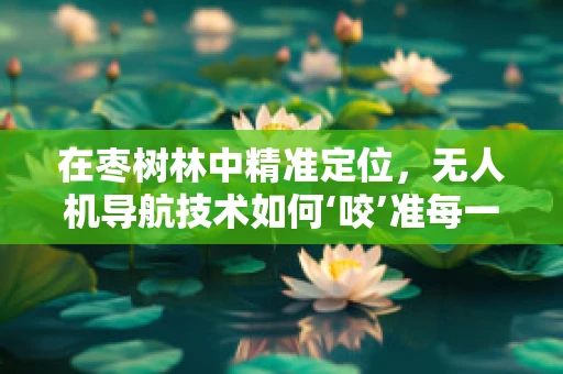 在枣树林中精准定位，无人机导航技术如何‘咬’准每一颗枣？