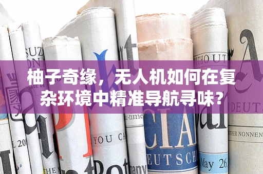 柚子奇缘，无人机如何在复杂环境中精准导航寻味？