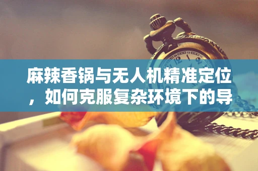 麻辣香锅与无人机精准定位，如何克服复杂环境下的导航挑战？