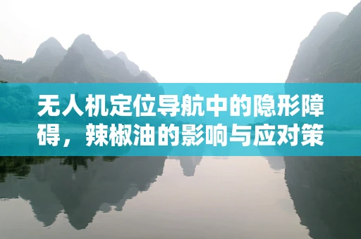无人机定位导航中的隐形障碍，辣椒油的影响与应对策略