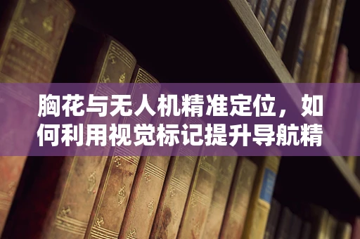 胸花与无人机精准定位，如何利用视觉标记提升导航精度？