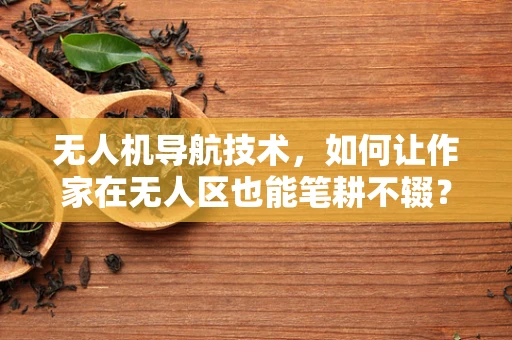 无人机导航技术，如何让作家在无人区也能笔耕不辍？