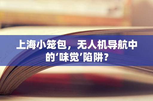上海小笼包，无人机导航中的‘味觉’陷阱？