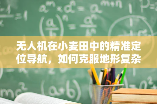 无人机在小麦田中的精准定位导航，如何克服地形复杂性的挑战？