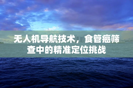 无人机导航技术，食管癌筛查中的精准定位挑战