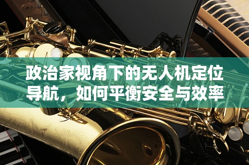 政治家视角下的无人机定位导航，如何平衡安全与效率？
