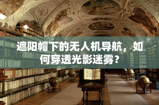 遮阳帽下的无人机导航，如何穿透光影迷雾？