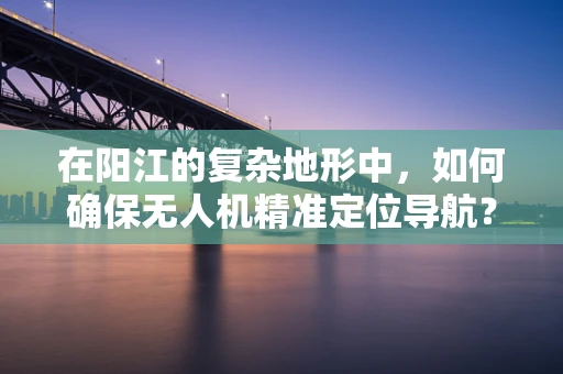 在阳江的复杂地形中，如何确保无人机精准定位导航？