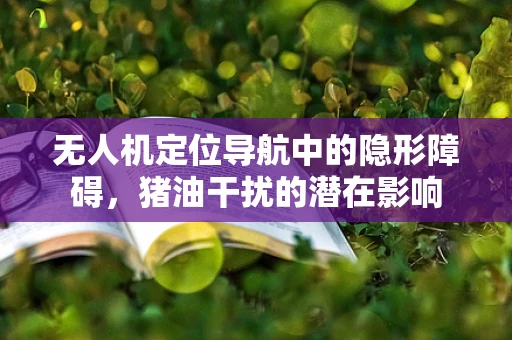 无人机定位导航中的隐形障碍，猪油干扰的潜在影响
