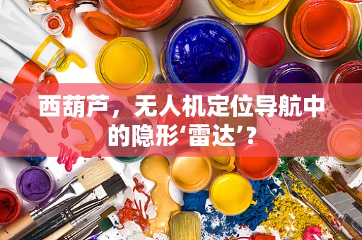 西葫芦，无人机定位导航中的隐形‘雷达’？