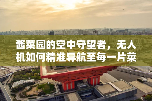 酱菜园的空中守望者，无人机如何精准导航至每一片菜畦？