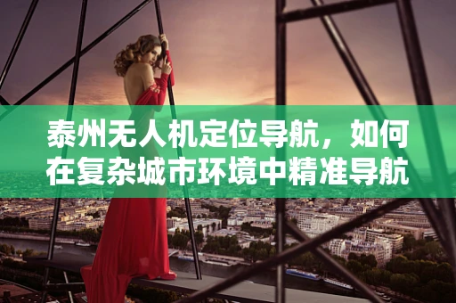泰州无人机定位导航，如何在复杂城市环境中精准导航？